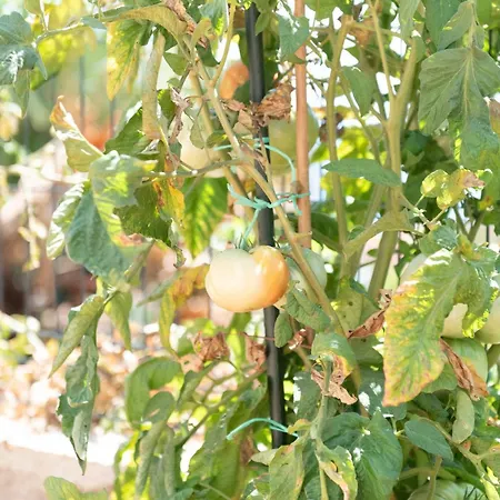 Apartman Opatija Bregi Breza